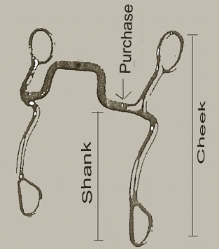 Terminology for the different parts of the bit