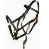 Halters and Bridles