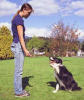 Dove Cresswell Dog Training