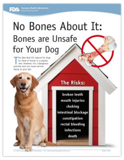 FDA poster with dog and no bones info